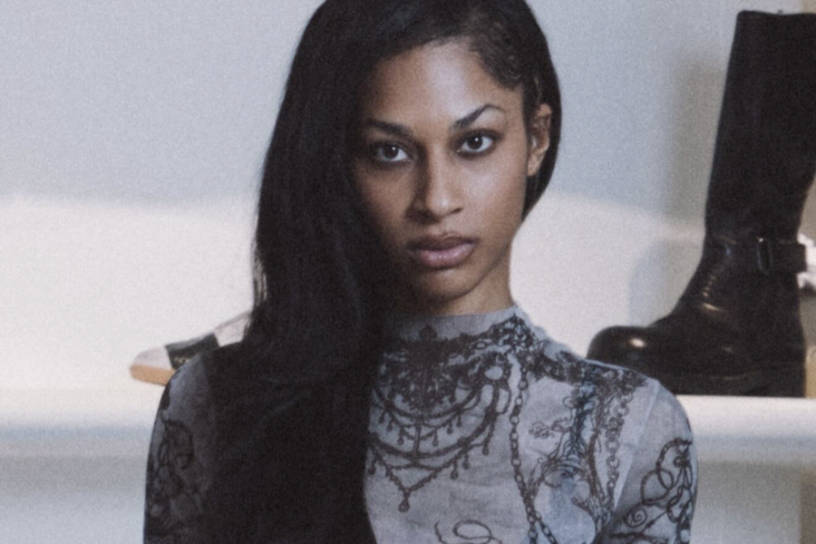 Friends Of The Mercer: Maya
